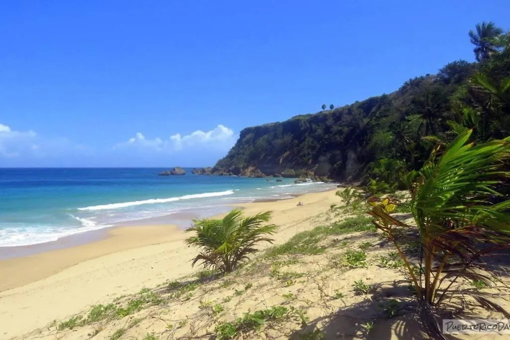 Appartement Ramey Loft 2 à Aguadilla